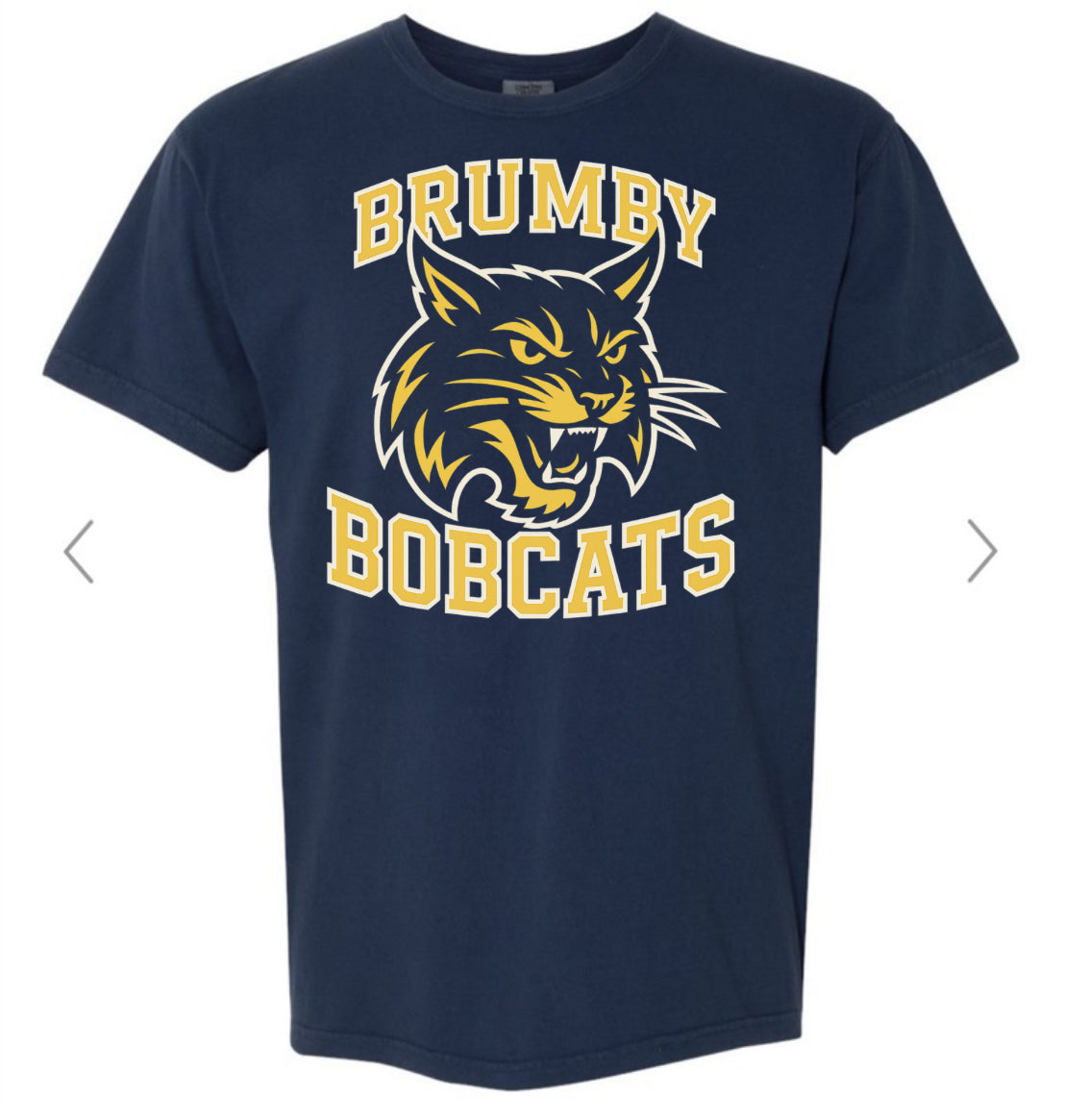 Brumby Bobcats Varsity Mascot