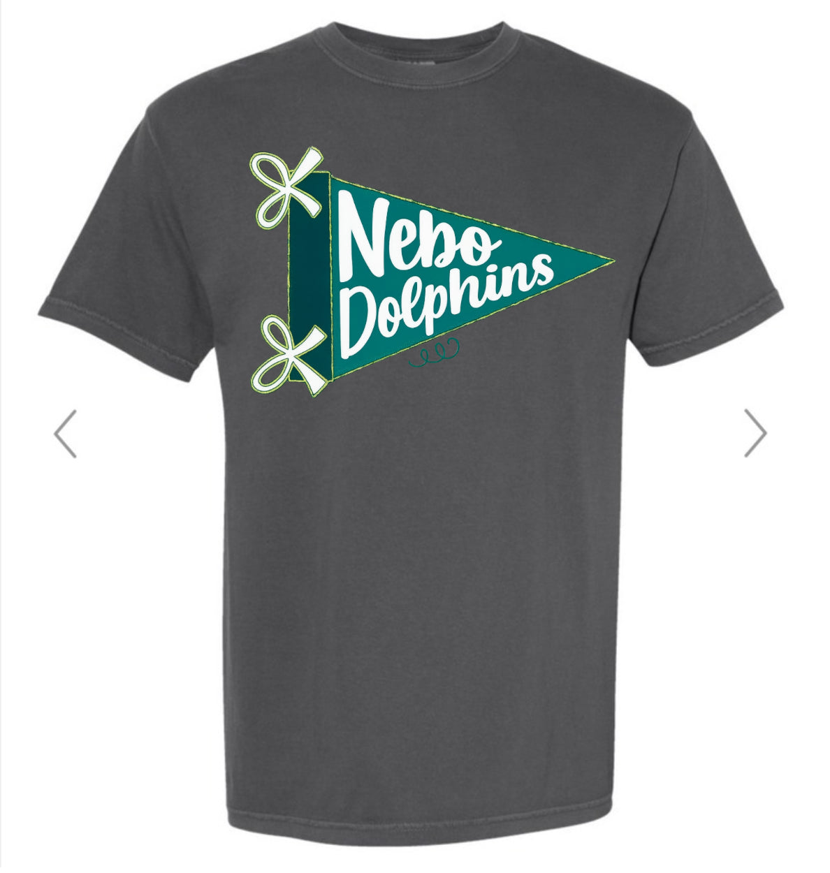 Nebo Dolphins Pennant Flag On grey