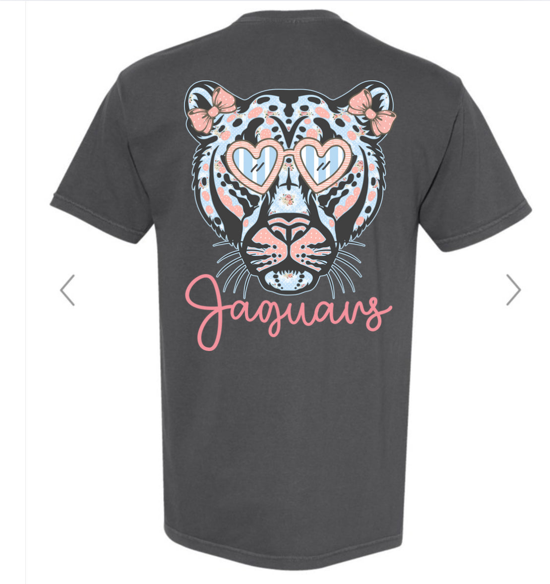 Jaguars Pink and Bow Floral Bow front/back