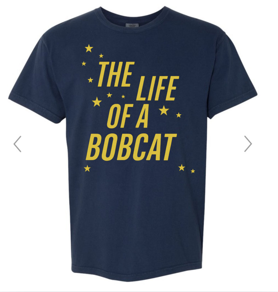 The Life of a Bobcat