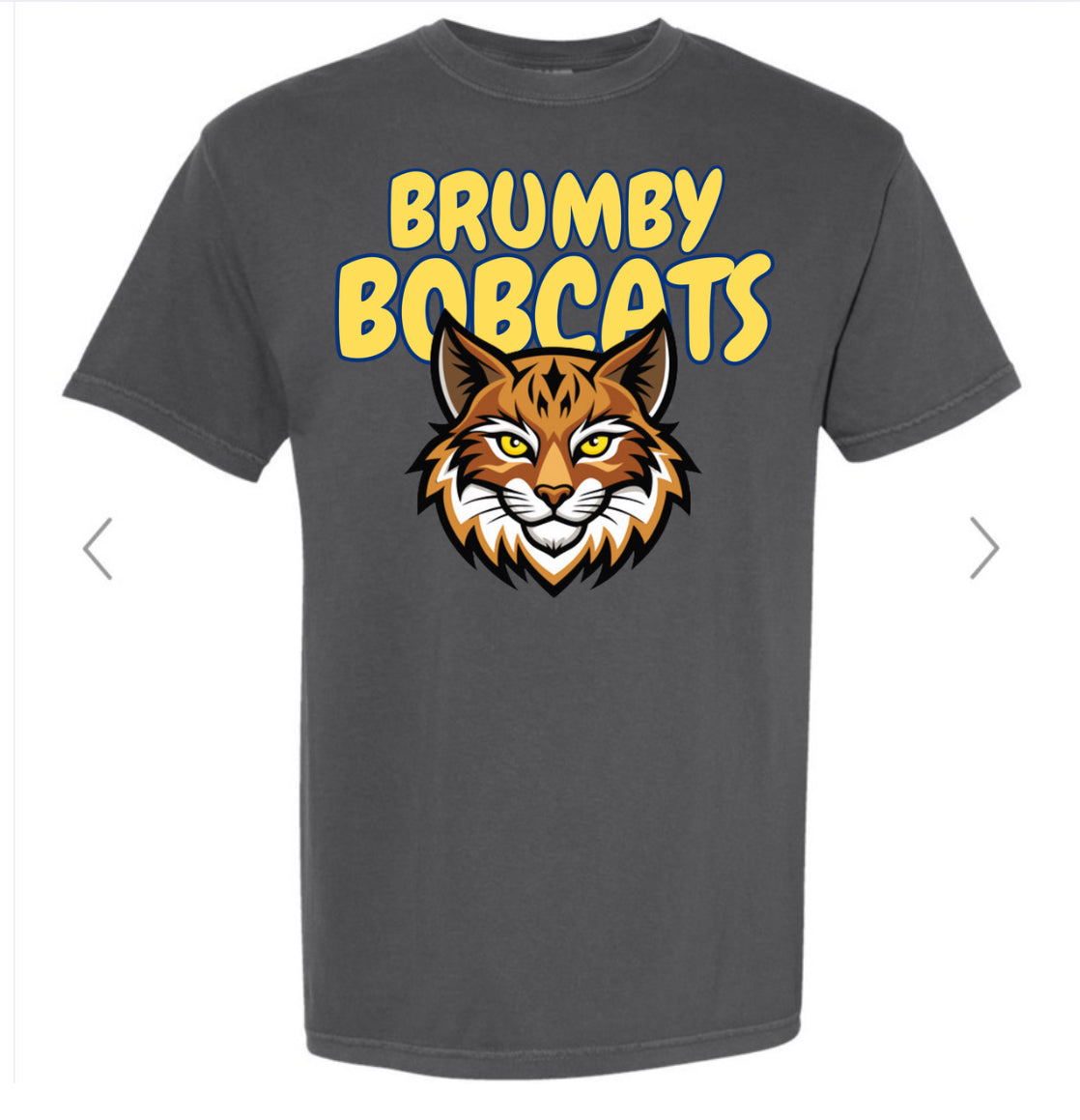 Brumby Elementary School