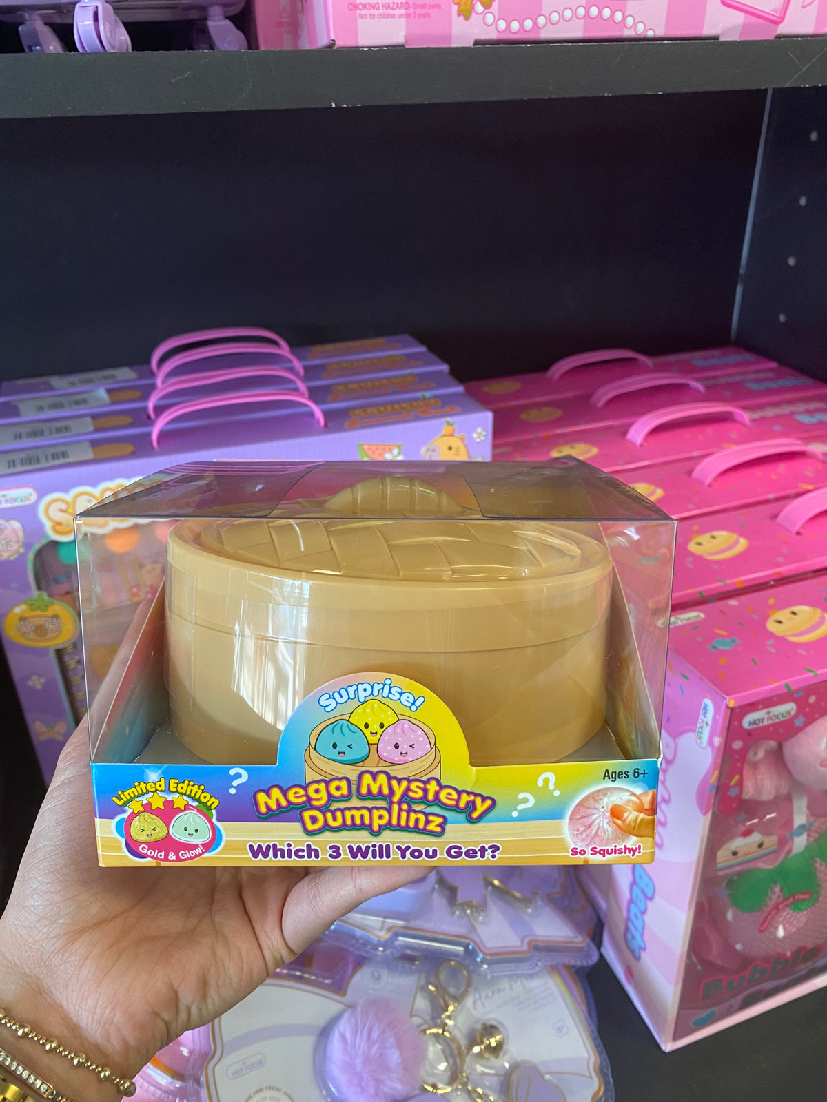 Mystery dumpling squishy (3 mini)