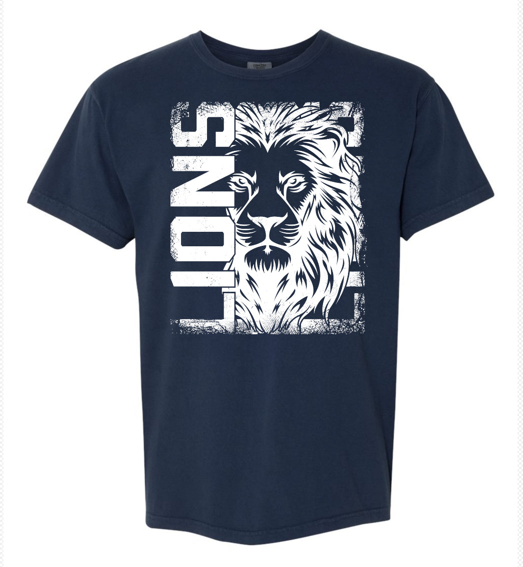 Lions Distressed