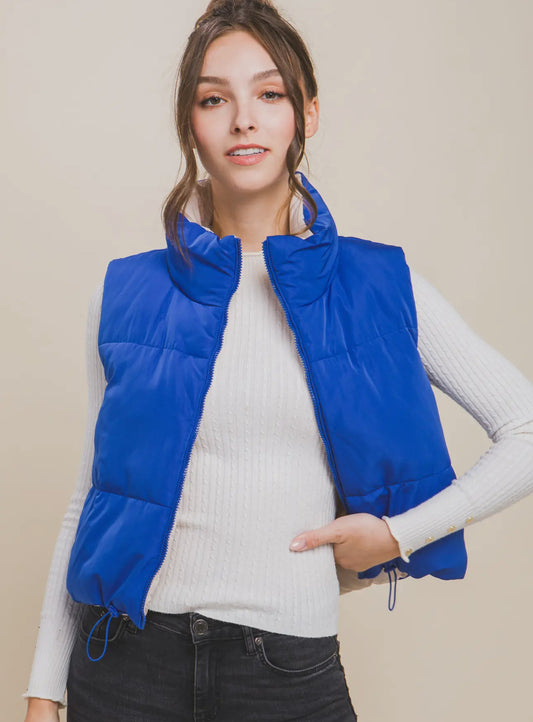 Royal Puffer Reversible Vest