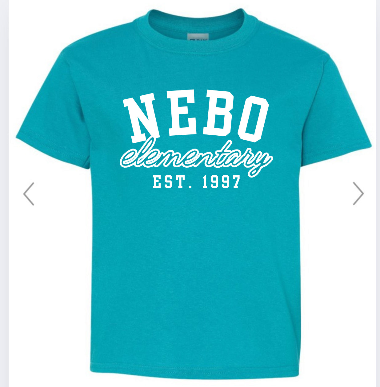 Nebo Elementary est 1997 on tropical blue