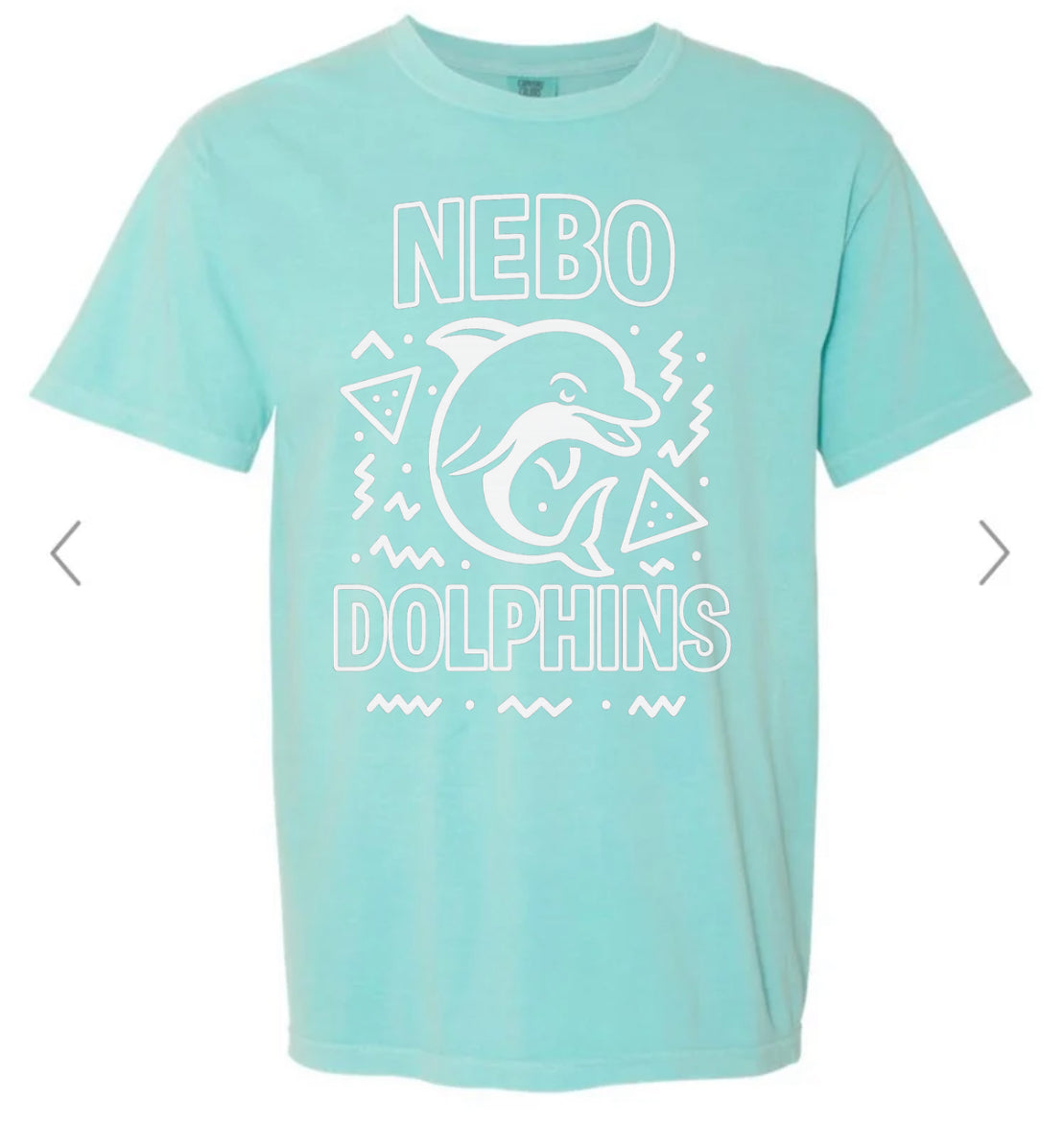 ADULT Nebo Dolphins 90s Retro on chalky mint