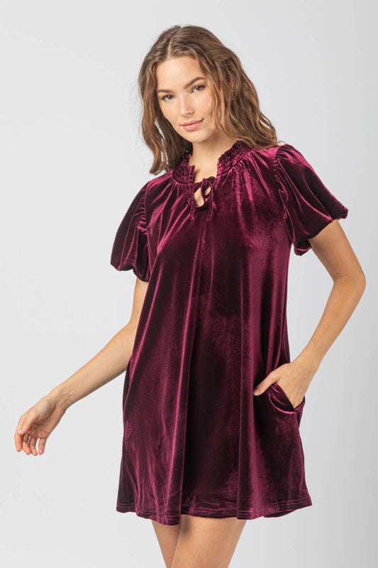 Wine Puff Sleeve Velvet Holiday Mini Dress