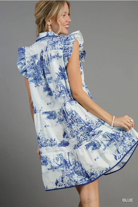 Two Tone Landscape Print Mini Dress with Ruffle Sleeves & Contrast Piping