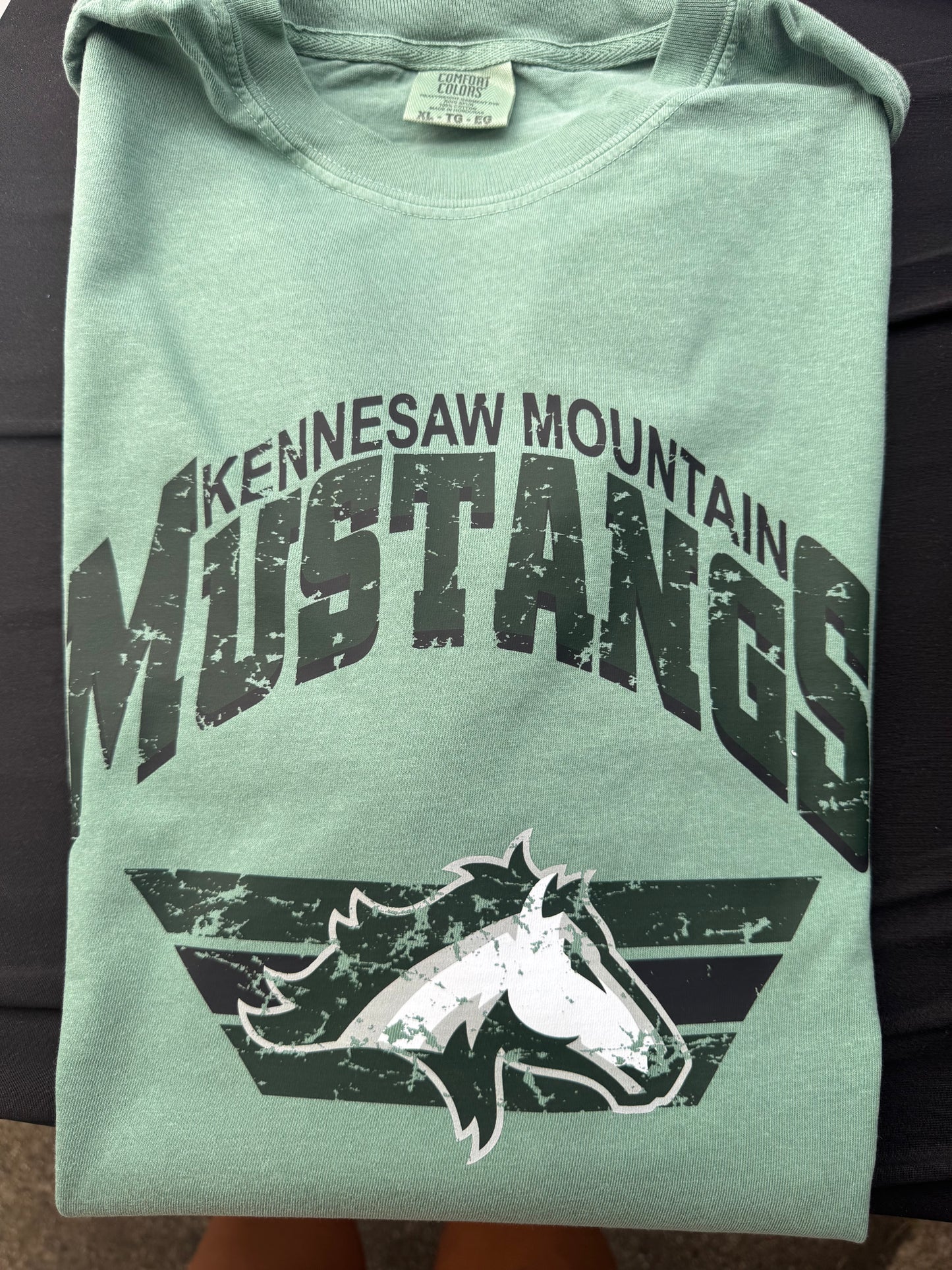 Kennesaw Mountain Mustangs Vintage varsity distressed