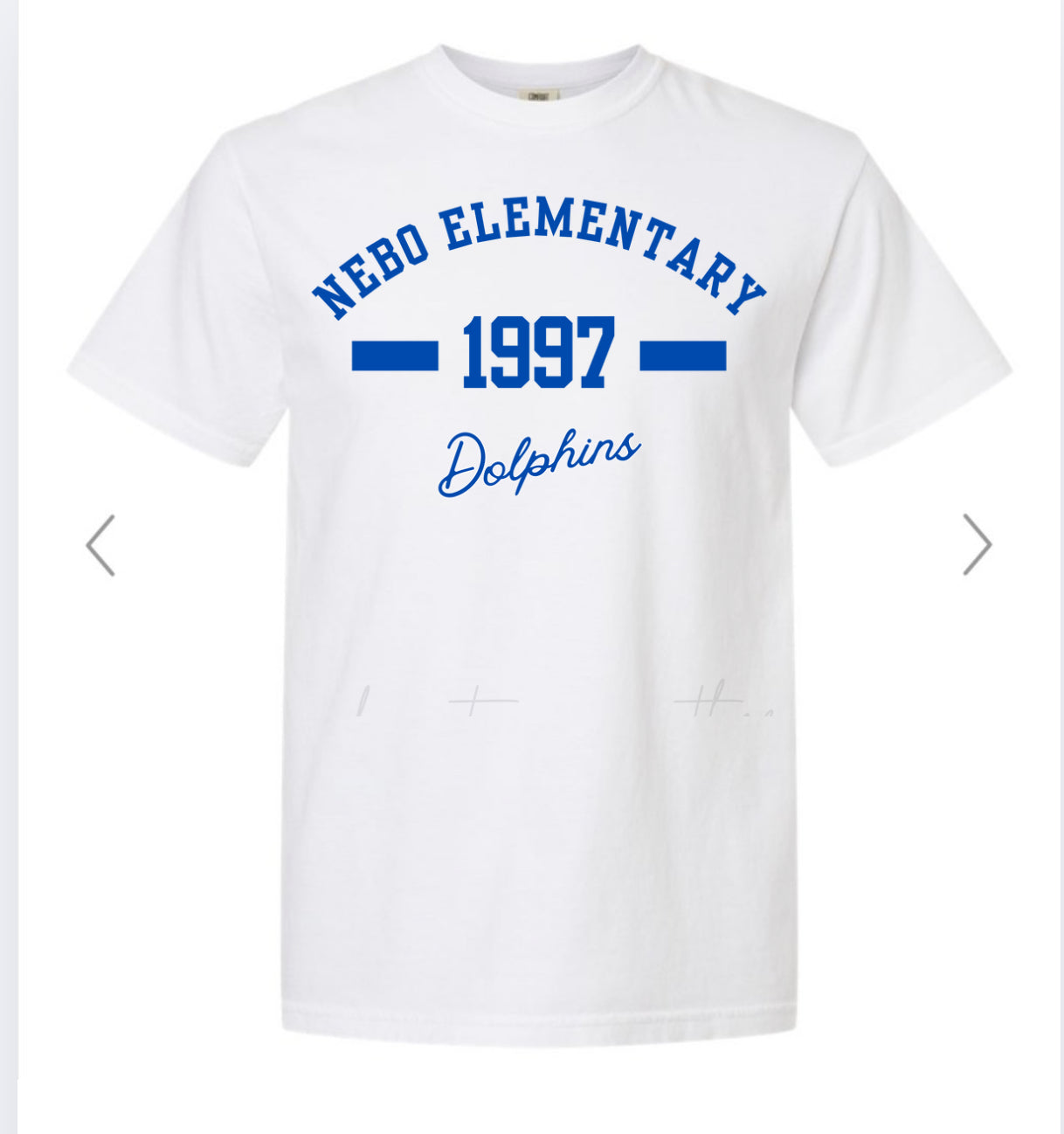 ADULT nebo elementary 1997 dolphins