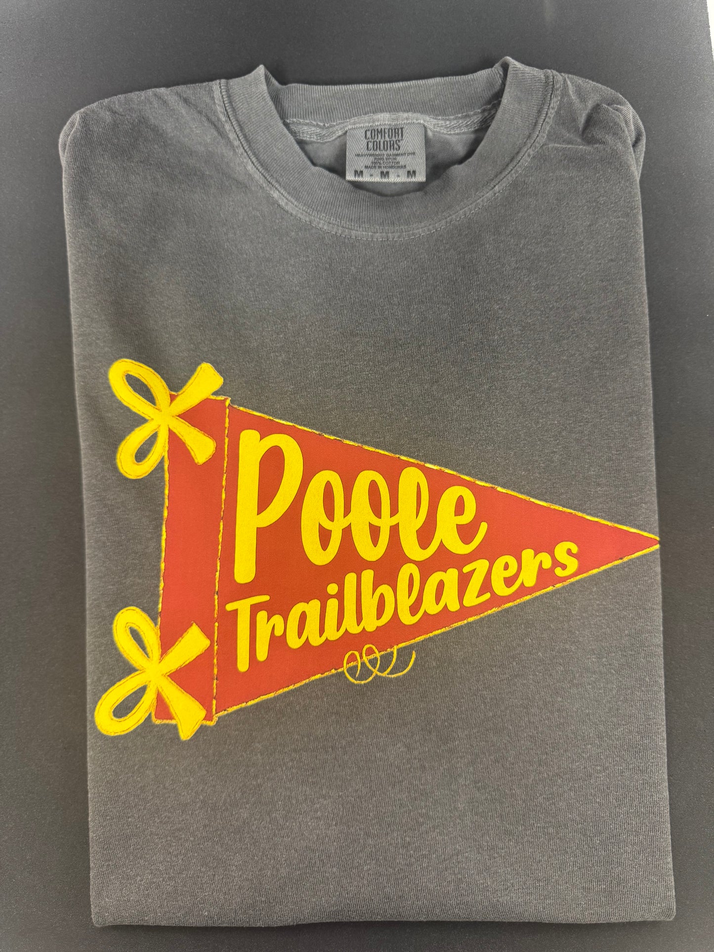 Poole Trailblazers Pennant Flag On Dark Grey