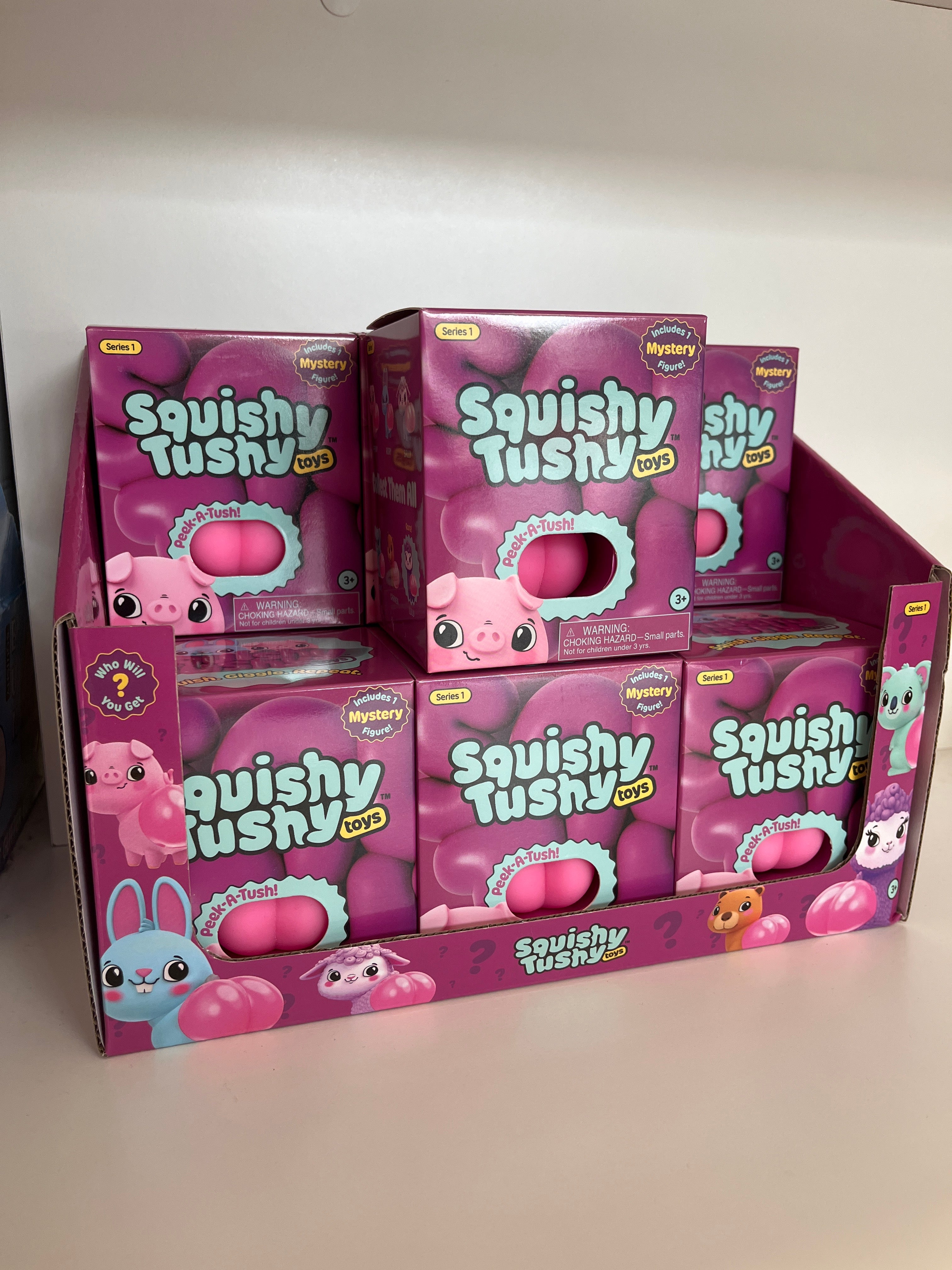 Squishy Tuishy Blind Box