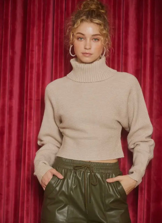 Turtleneck Crop Sweater- oatmeal