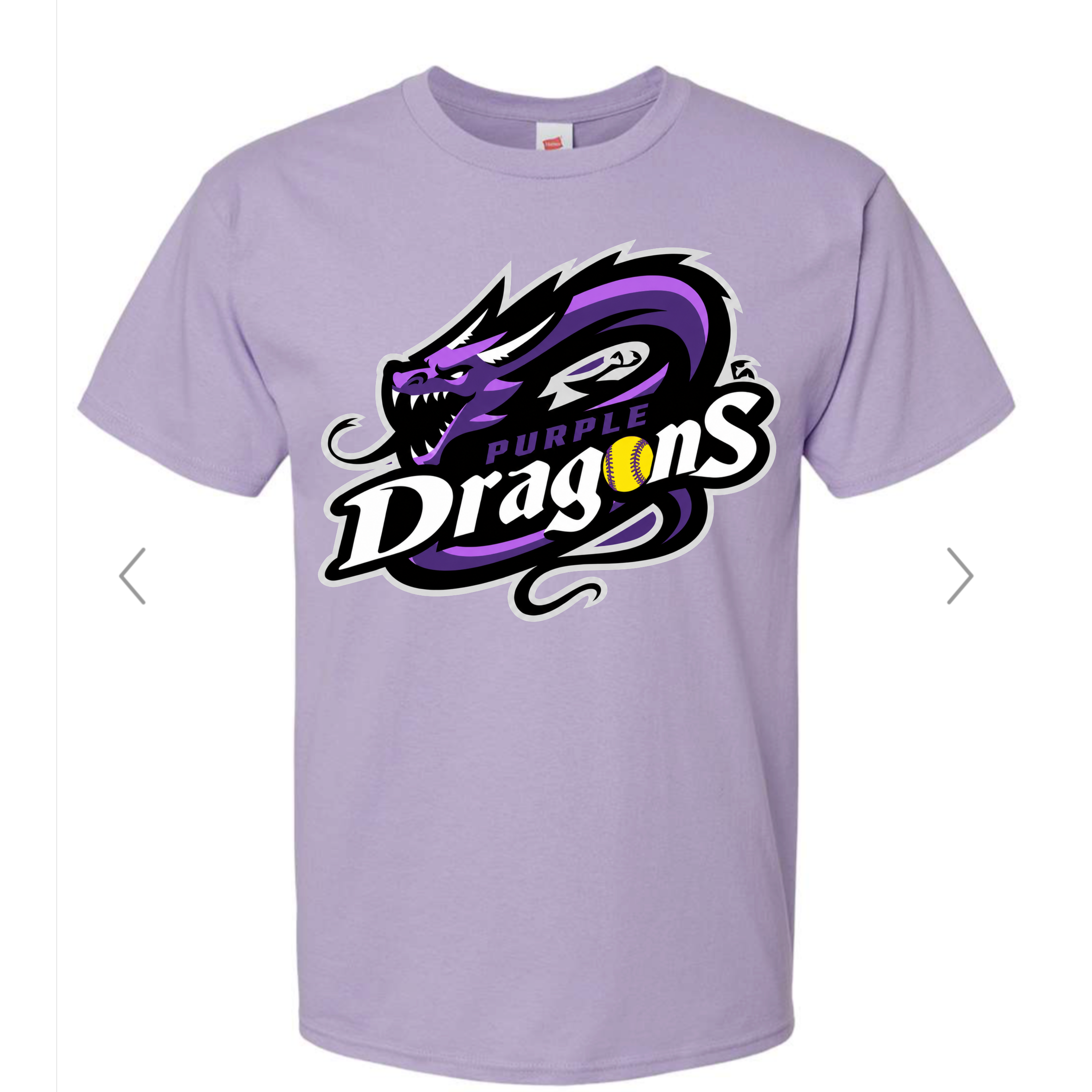 Purple Dragons Paulding Softball Team