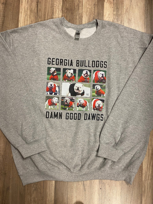 Evolution of Uga Sweatshirt