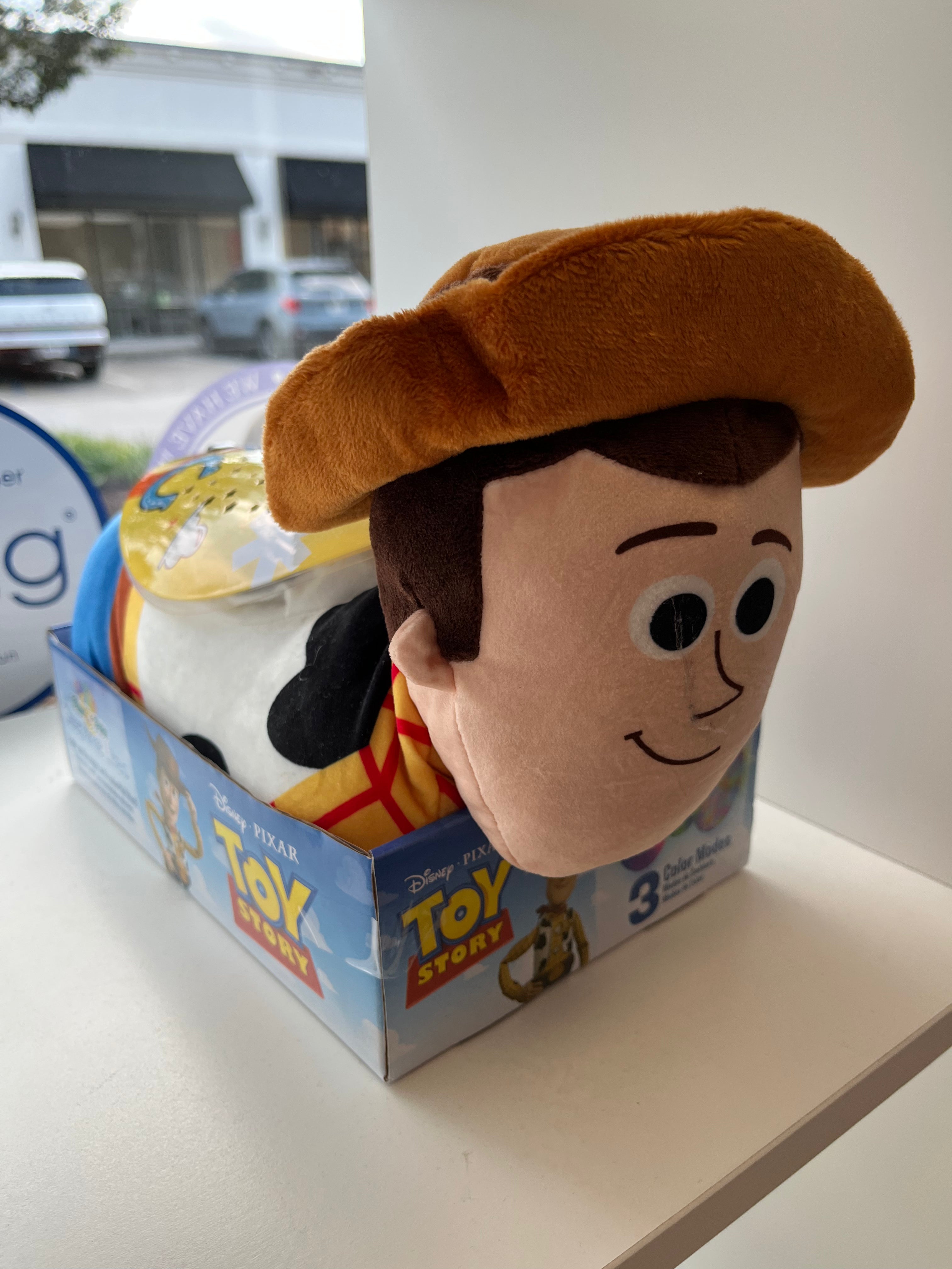 Woody Light Up Pillow Pet