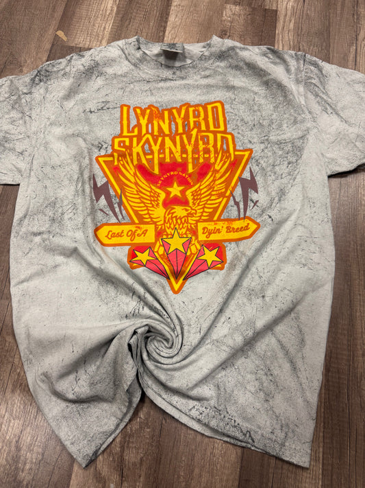 Lynyrd Skynyrd Vintage Band tee