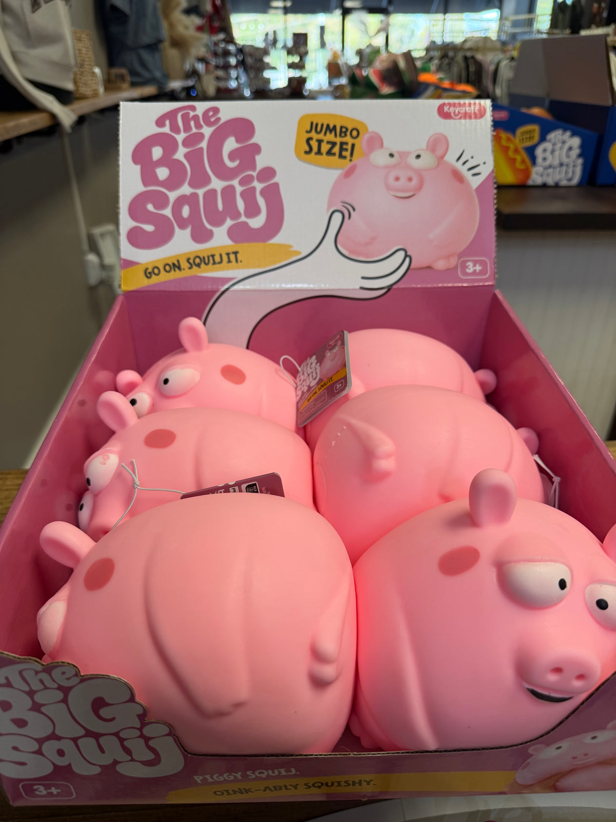 The Big Squij- Pig - Keycraft