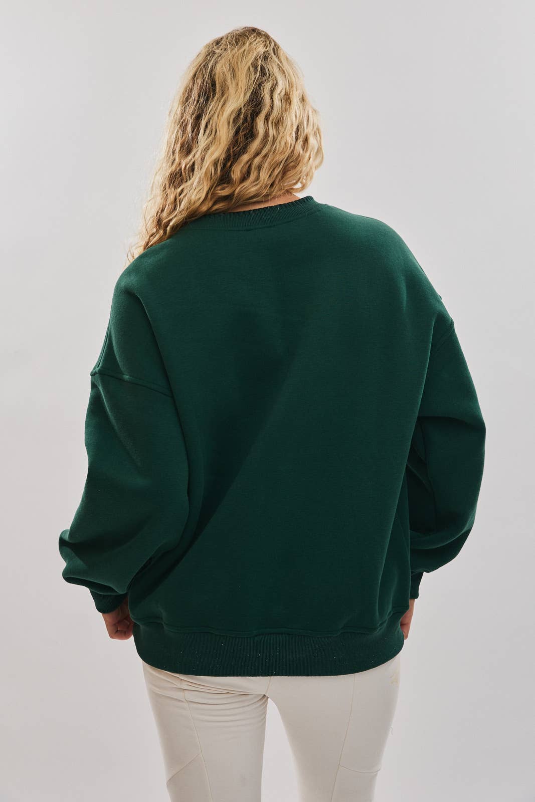 CREW NECK CHRISTMAS GRAPHIC EMBROIDERY SWEATSHIRT