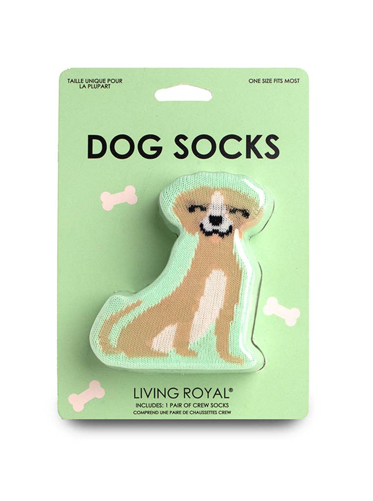 3D Packaged Crew Socks - Puppy Dog w/ Bone - Green